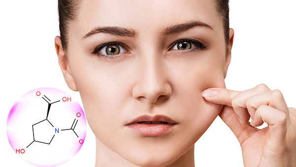 Protecteur de la peau en fibre d'élastine